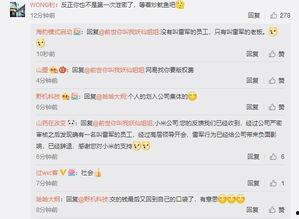 雷军爆料新产品视频播放,神秘新品视频播放，科技魅力一触即发！”  第3张