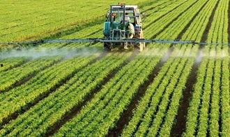 农业植保爆料短视频素材,作物病虫害防治技巧大公开  第2张