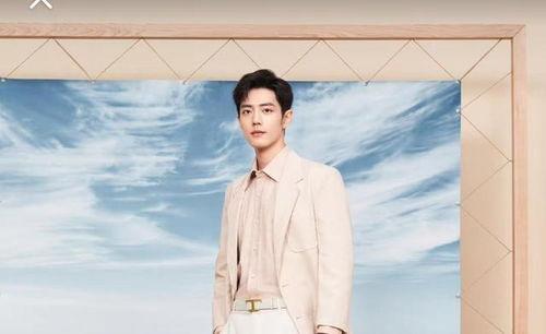 有关肖战八卦爆料最新,揭秘娱乐圈最新八卦爆料  第1张