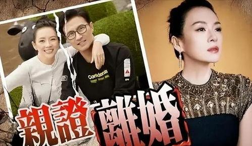 刘大锤爆料榜单最新视频,揭秘榜单幕后真相  第1张