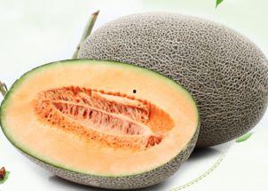 网红哈密瓜能放多久吃,保鲜技巧揭秘，教你如何延长美味时光  第1张